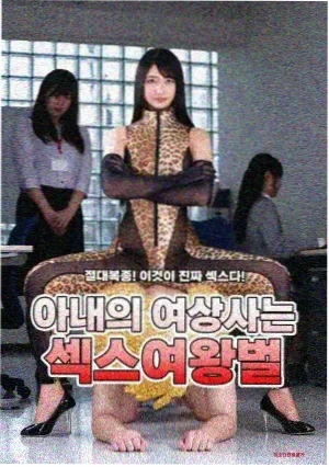 岁月如歌 电视剧 2024